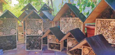 Salviamo gli insetti impollinatori