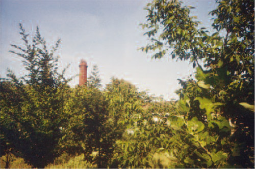 Azienda Agricola La Fornace